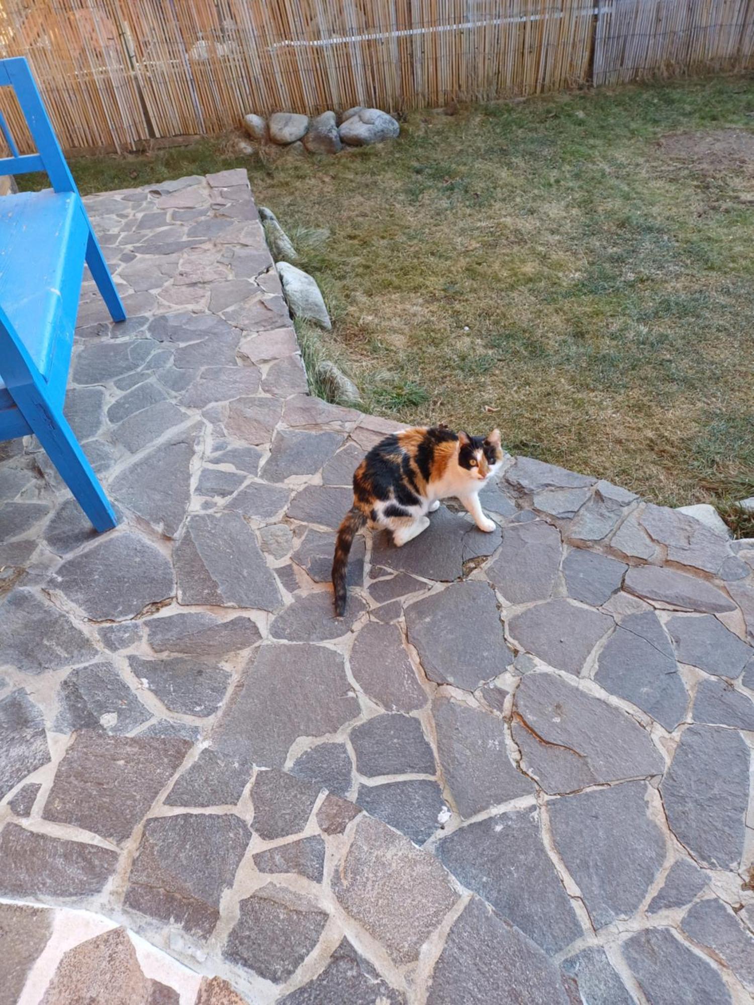 Appartamento Drevenica Zapadne Tatry S Kupacou Kadou A Krbom *